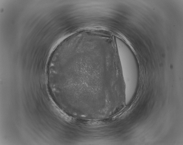 X0000068890795200605261844