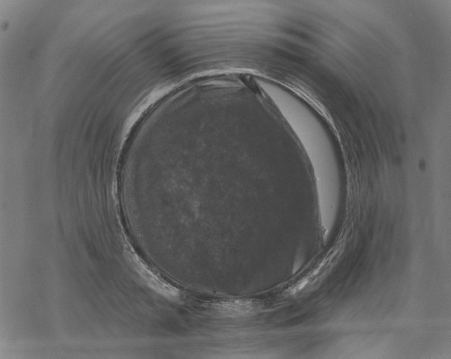 X0000068890797200605261844