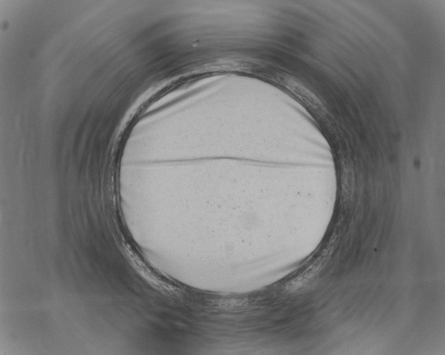 X0000068890800200605261844