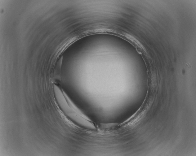 X0000068890801200605261844