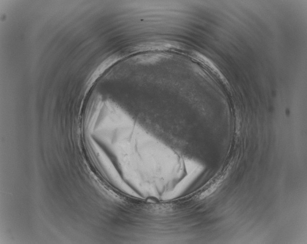 X0000068890802200605261844