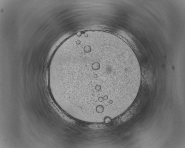 X0000068890804200605261844