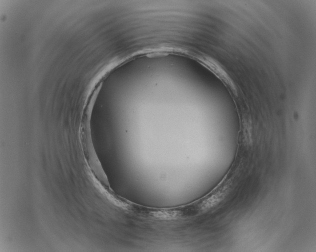 X0000068890805200605261844