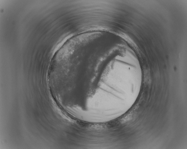 X0000068890806200605261844