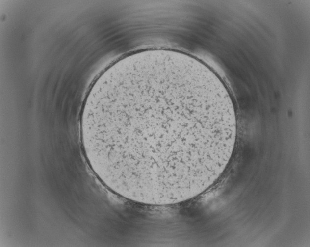 X0000068890807200605261844