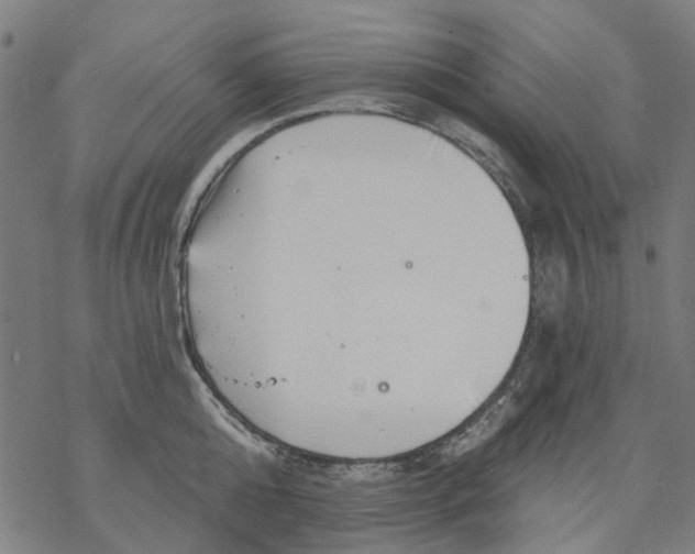 X0000068890808200605261844