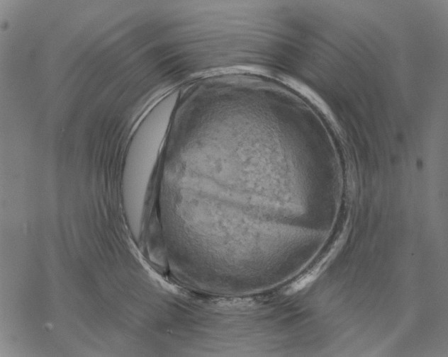 X0000068890809200605261844