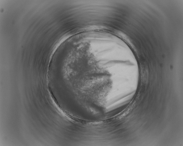 X0000068890810200605261844