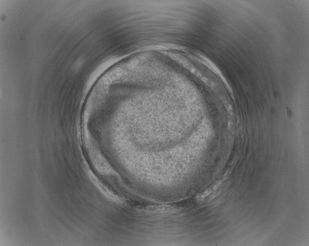 X0000068890811200605261844