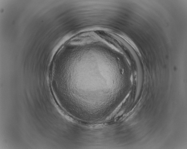 X0000068890813200605261844