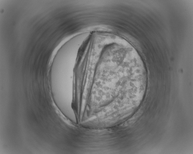 X0000068890816200605261844