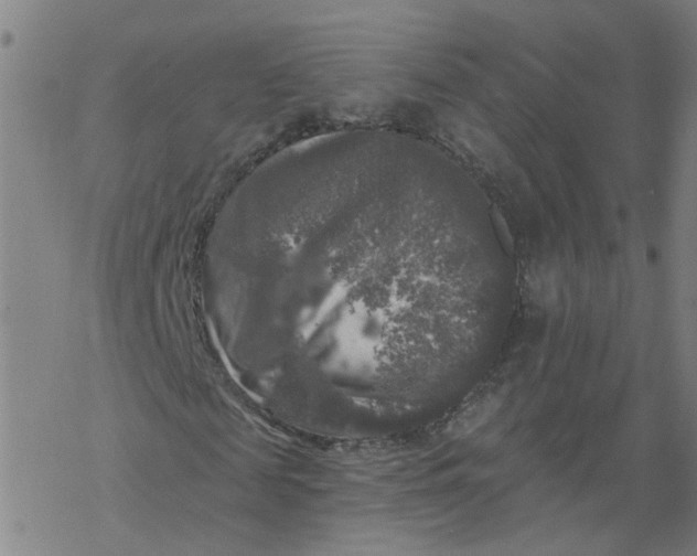 X0000068890817200605261843