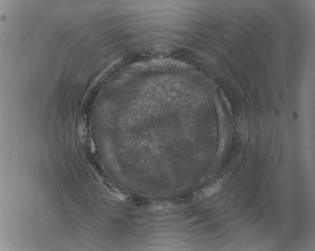 X0000068890818200605261843