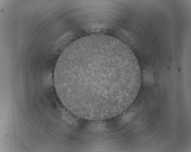 X0000068890820200605261843