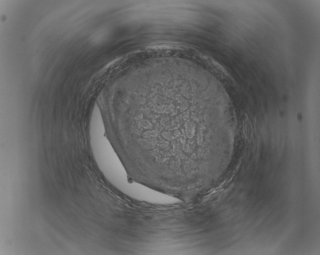 X0000068890821200605261843