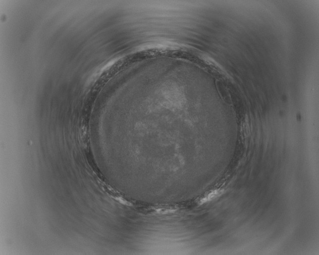 X0000068890822200605261843