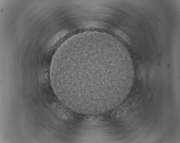 X0000068890824200605261843