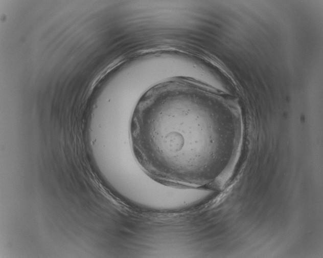 X0000068890826200605261843