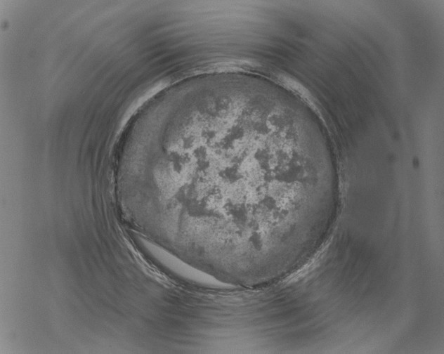 X0000068890827200605261843