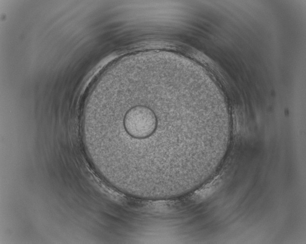 X0000068890828200605261843