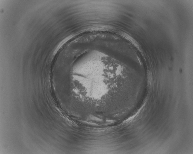 X0000068890829200605261843