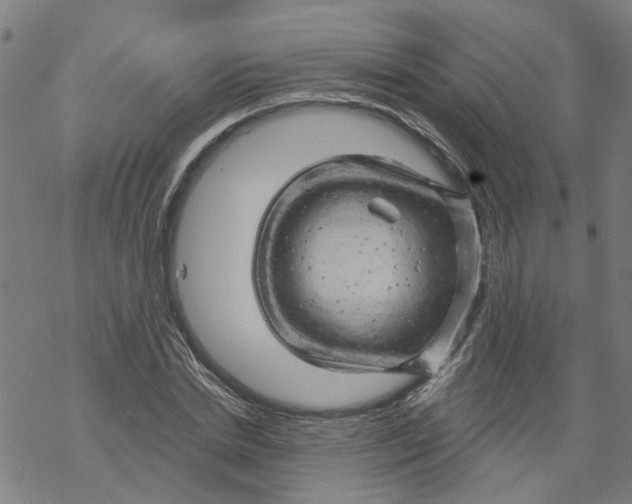 X0000068890830200605261843