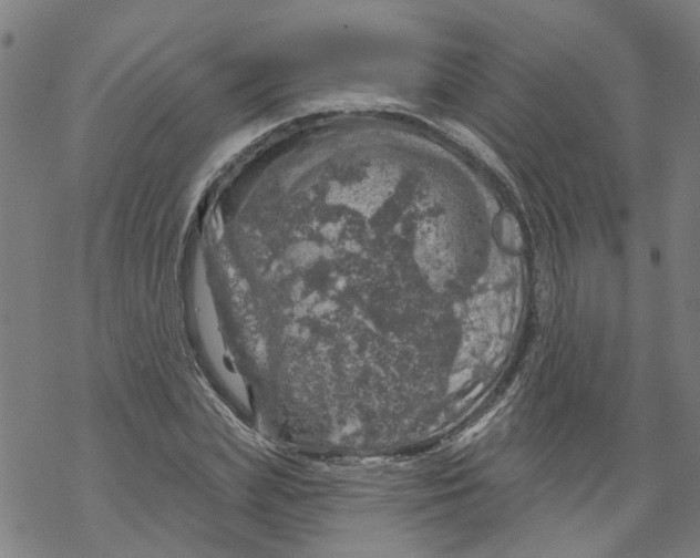 X0000068890831200605261843