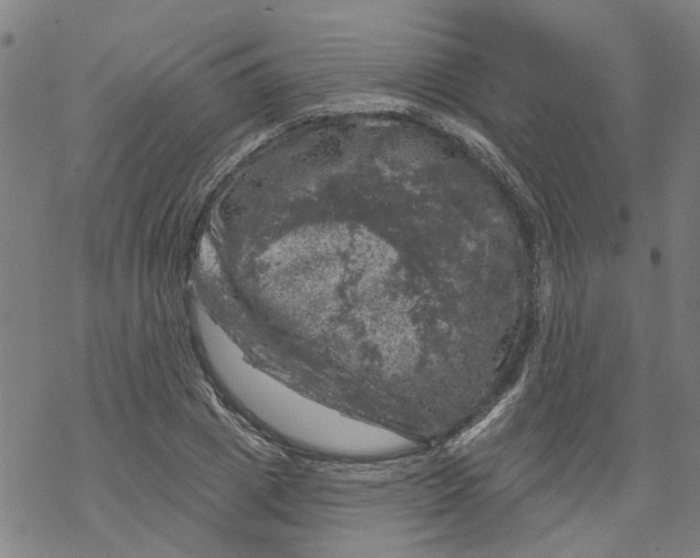 X0000068890833200605261843