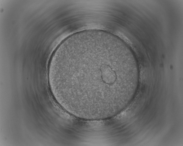 X0000068890836200605261844