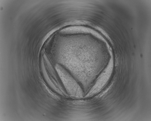 X0000068890837200605261844