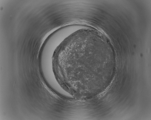 X0000068890838200605261844