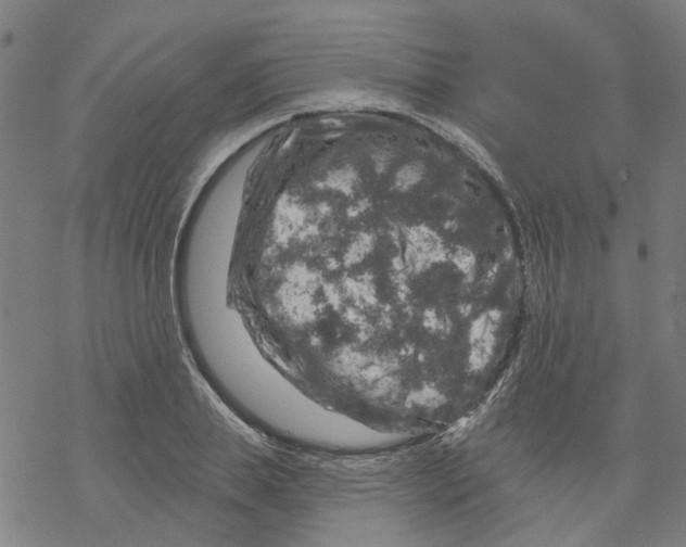 X0000068890839200605261844