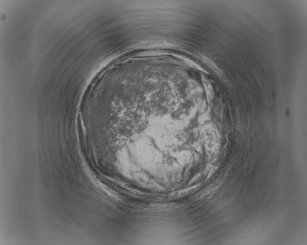 X0000068890840200605261844