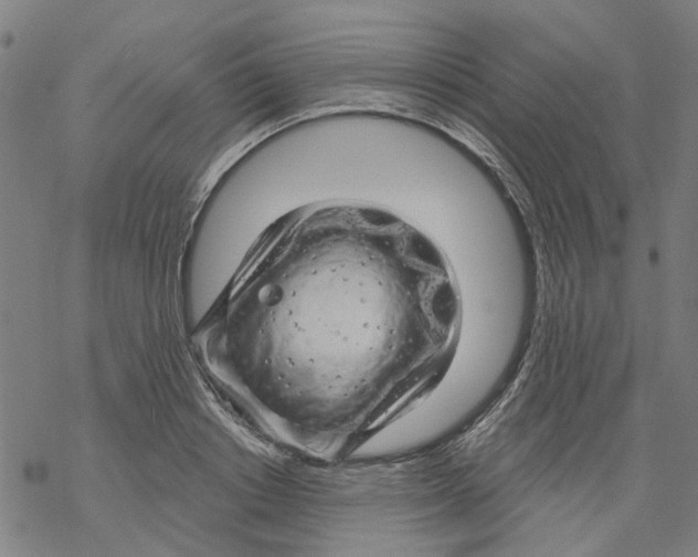 X0000068890842200605261844