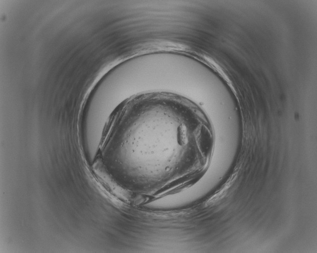 X0000068890843200605261844