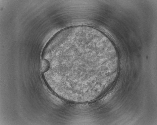 X0000068890844200605261844