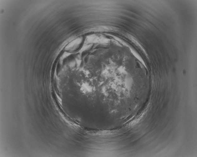 X0000068890845200605261844