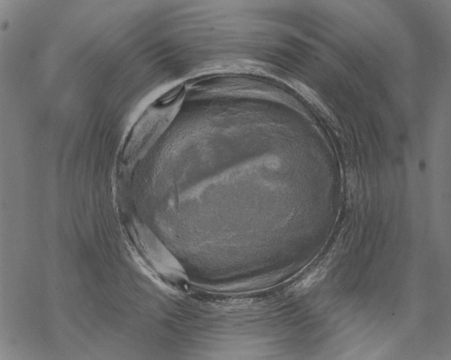 X0000068890846200605261844