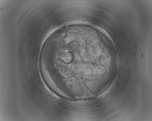 X0000068890847200605261844