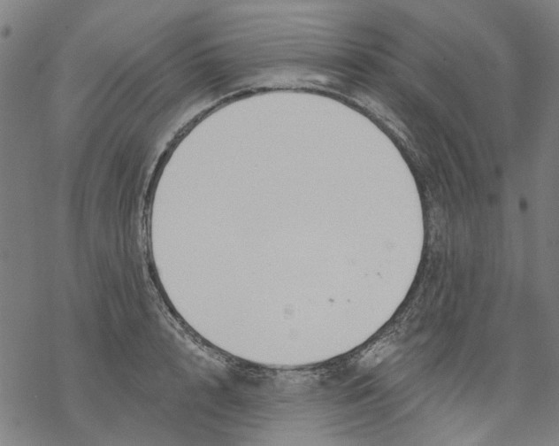 X0000068890848200605261844