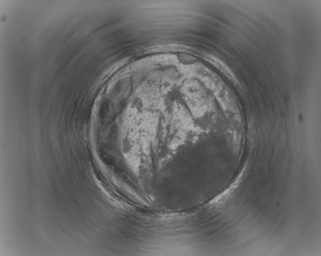 X0000068890849200605261844