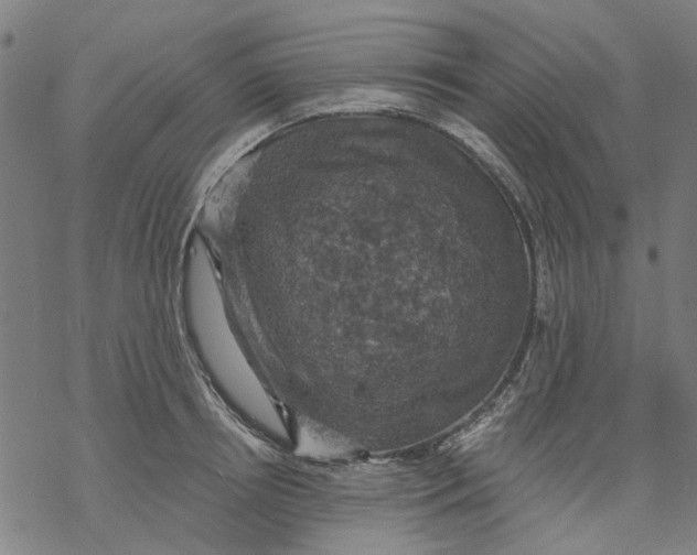 X0000068890850200605261844