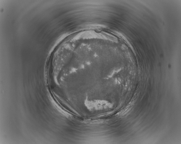 X0000068890851200605261844