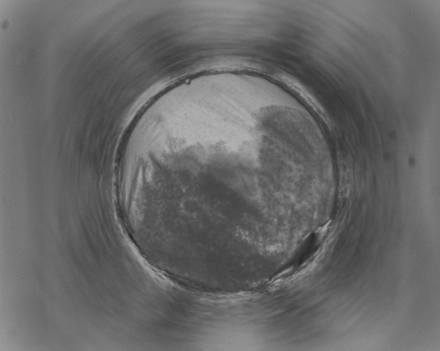 X0000068890853200605261844