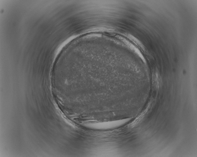 X0000068890854200605261844