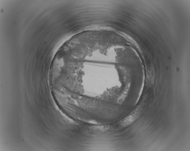 X0000068890855200605261844