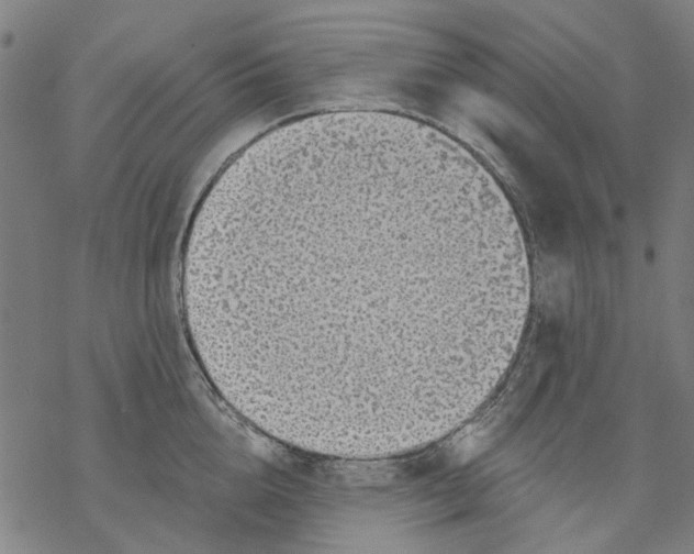 X0000068890856200605261844