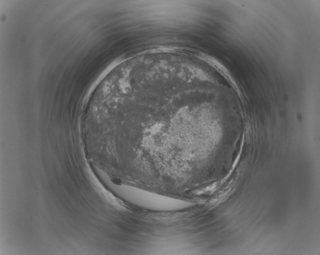 X0000068890859200605261844