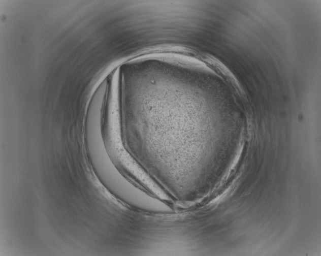 X0000068890860200605261844