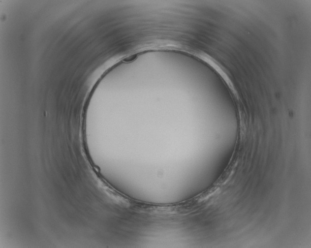 X0000068890861200605261844